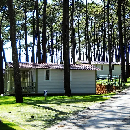 Camping Parque De Campismo Orbitur Valado Nazaré