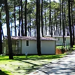 Campsite Parque De Campismo Orbitur Valado Nazare