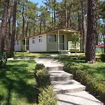 Parque De Campismo Orbitur Valado Campsite 3*