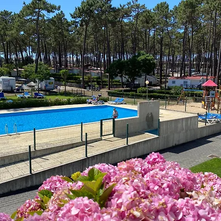 Parque De Campismo Orbitur Valado Nazaré