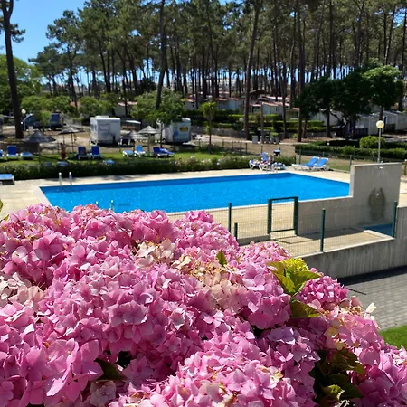 Camping Parque De Campismo Orbitur Valado 3*