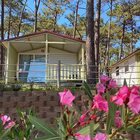 Parque De Campismo Orbitur Valado Nazaré