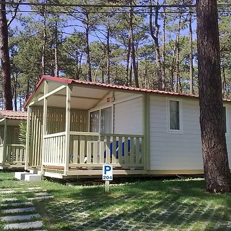 Parque De Campismo Orbitur Valado Camping Nazaré
