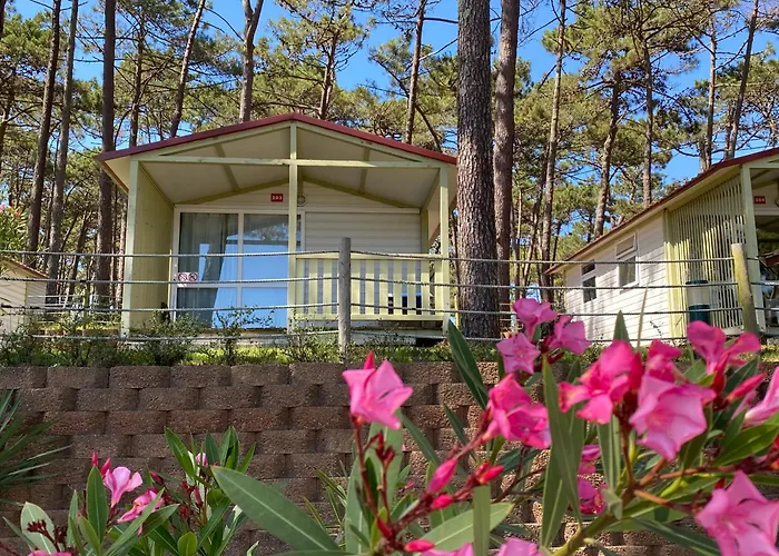 Parque De Campismo Orbitur Valado אתר קמפינג 3*