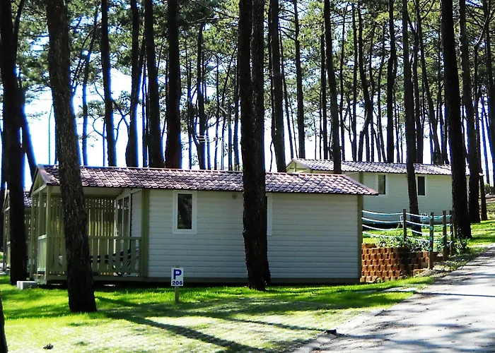 אתר קמפינג Parque De Campismo Orbitur Valado נאזרה